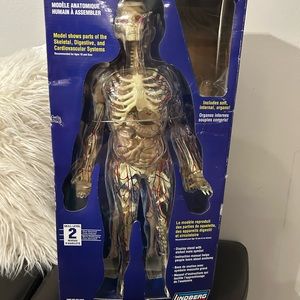 Lindberg 76009 Transparent Man Model Kit